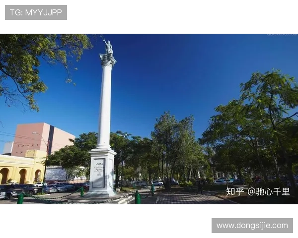 世界杯期间土耳其与巴拉圭球迷围巾的收藏价值与购买指南详解